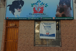 Hospital Clinico Veterinario Blanqueado