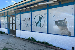 Hospital Clínico Veterinario Emilypet