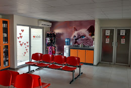 Hospital Clinico Veterinario Quillota