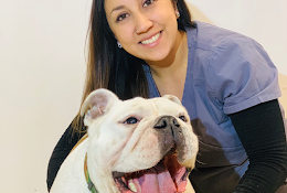 Hospital Veterinario Animal Med