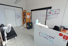 Hospital Veterinario Ayun Vet