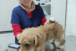 Hospital Veterinario Champestre