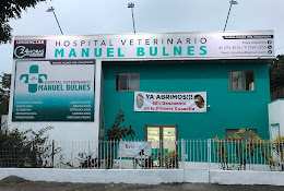 Hospital Veterinario Manuel Bulnes