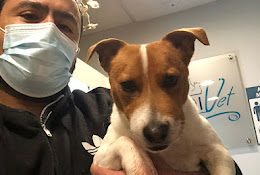 Hospital Veterinario Medivet