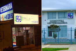 Hospital Veterinario Talcahuano Villa Animal