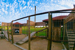 Hotel Canino Del Maule
