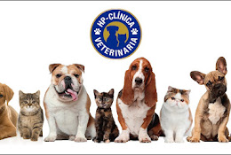 Hp Vet Soluciones Veterinarias S.p.a.