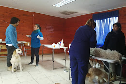 Huellas Alegres