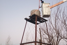 Ilustre Municipalidad De Rauco