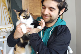 Karuna Clinica Felina