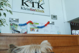 Ktk Centro Veterinario Alemán