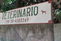 Médicos Veterinarios