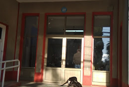 Municipalidad De Vilcún