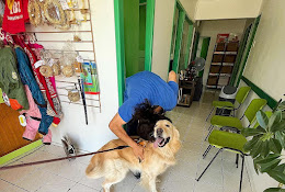 Native Clínica Veterinaria
