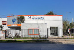 Neurological Institute And Veterinary Specialties