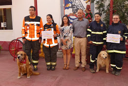 Patitas Veterinaria & Peluquería Canina Y Felina