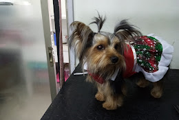 Peluquería Canina Linares
