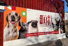 Pet Bj Miavet