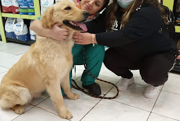 Pet Happy Los Andes