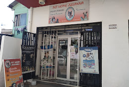 Pet Home Julianna