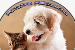 Pet Life Mostazal