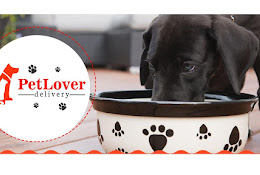 Pet Lover Iquique