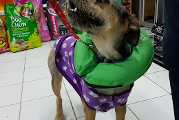 Petslife Con Cón