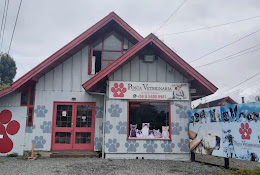 Posta Veterinaria Puerto Varas