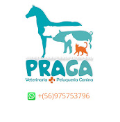 Praga Veterinaria