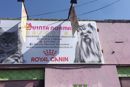 Quinta Normal Mascotas