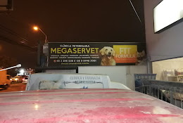 Rodrigo Eugenio Gonzalez Barrios Megaservet Servicios Veterinarios E.i