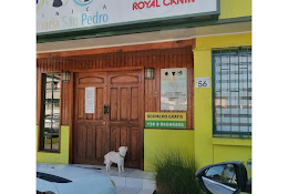 San Pedro Clínica Veterinaria