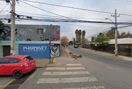 Servicios Veterinarios Pharmavet