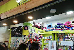 Solvet Galería Alessandri