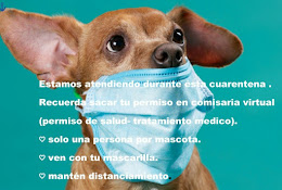 South Metropolitan Centro Veterinarío