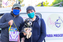 Spatitas Clínica Veterinaria