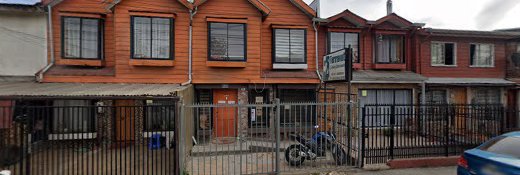 Terravet Clinica Veterinaria