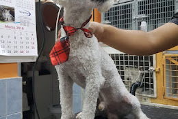 Tienda Mundo Pet´s
