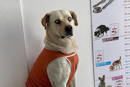 Tuvet Tupet Centro Veterinario