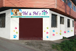 Vet & Pets Consulta Veterinaria