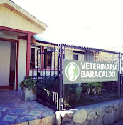 Vet&Vet Clinica Veterinaria
