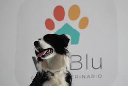 Vetblu Centro Veterinario