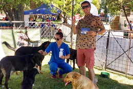 Vetcare San Felipe