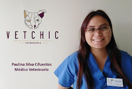 Vetchic Valdivia