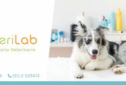 Veterilab Laboratorio Veterinario