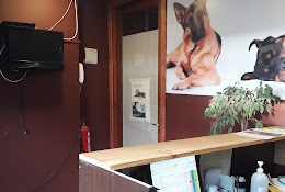 Veterinaria Algarrobo Vets