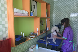 Veterinaria Alisagri