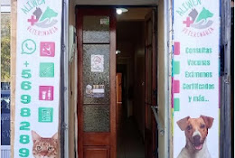Veterinaria Aliwen Villa Alemana