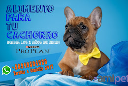 Veterinaria Amipet Store