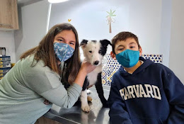 Veterinaria Andalue San Pedro De La Paz